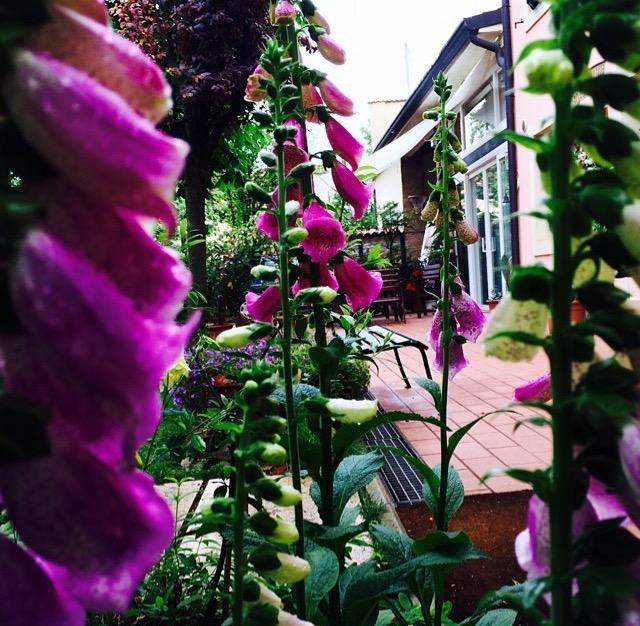 Bed And Breakfast Villa Franca Villafranca di Verona Exterior foto